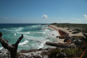 In this picture you can see the sea of Cozumel