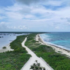 In this picture you can see the sea of Cozumel