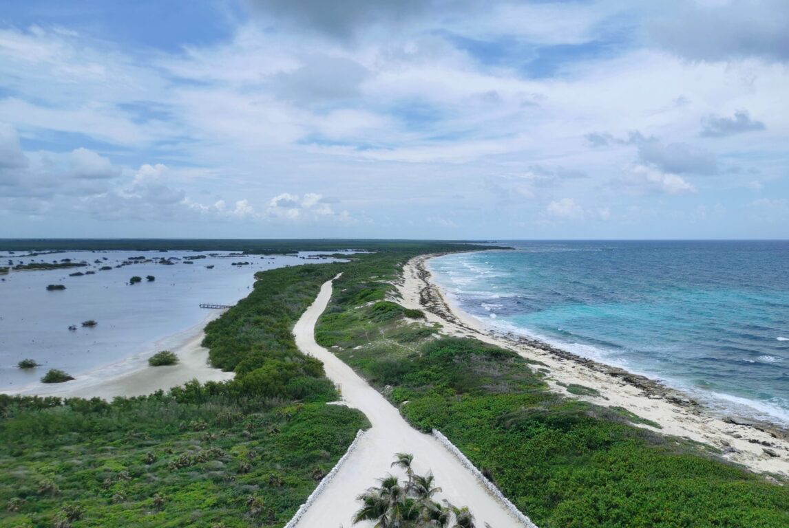 In this picture you can see the sea of Cozumel