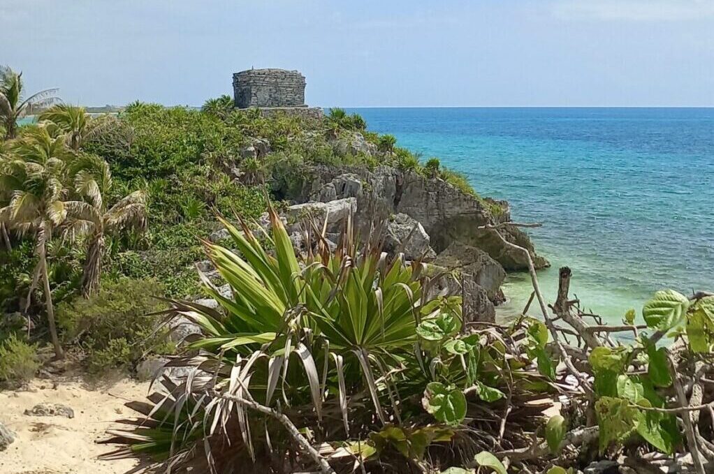 Tulum Tours